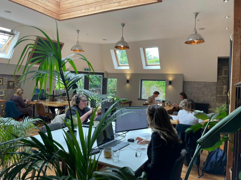 Plants, plants, plants